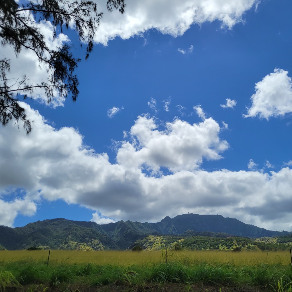 Relearning: Listening