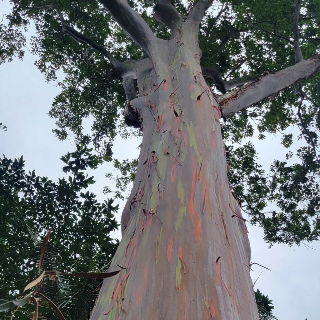 Remembering: My Own&nbsp;Wisdom